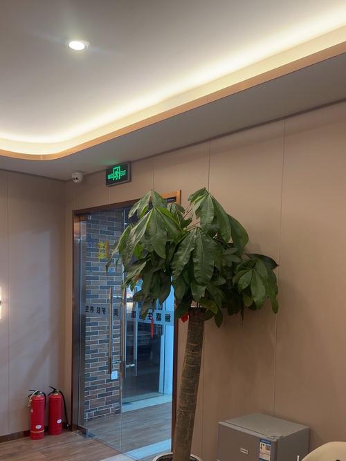 美食与美容的双重享受 一次完美的服务体验